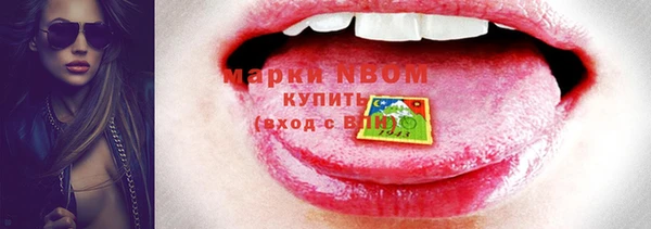 трава Корсаков