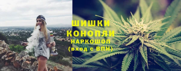 соль ск Кодинск