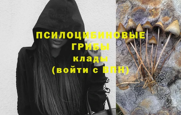 spice Кулебаки