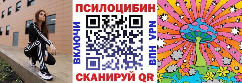 Псилоцибиновые грибы прущие грибы Ковдор